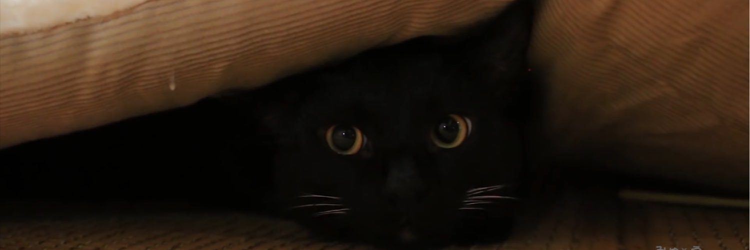 hxxxi's profile banner image