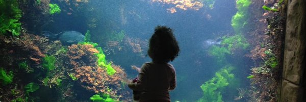 fecak Profile Banner