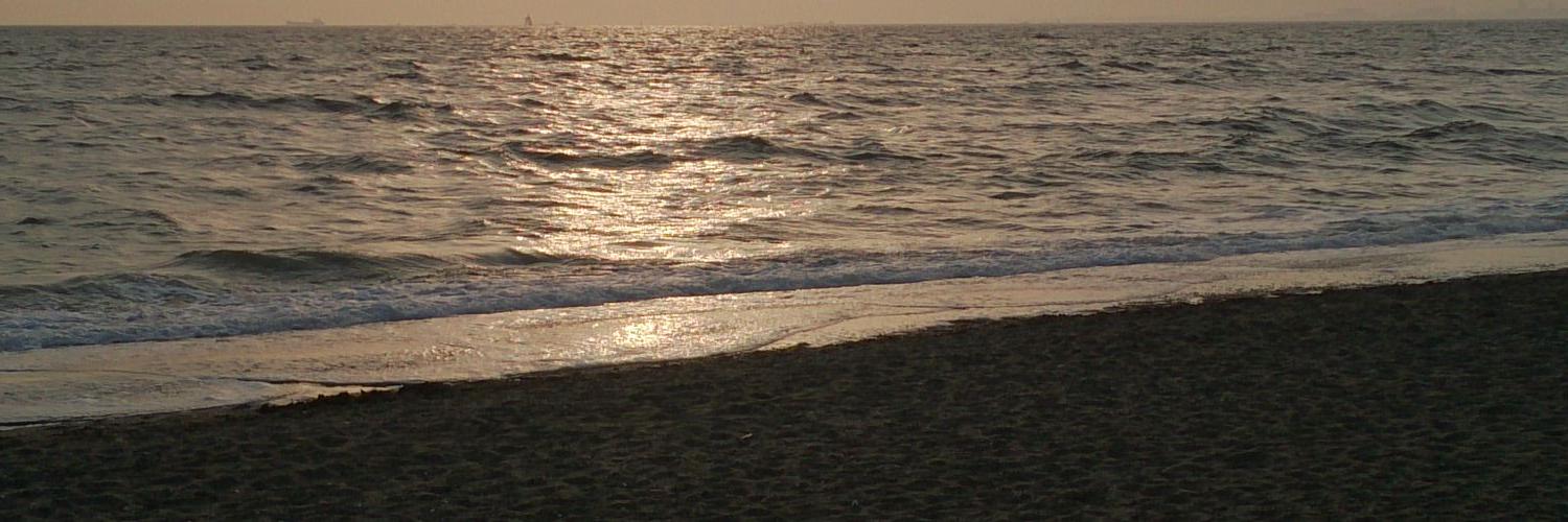 haaya101's profile banner image