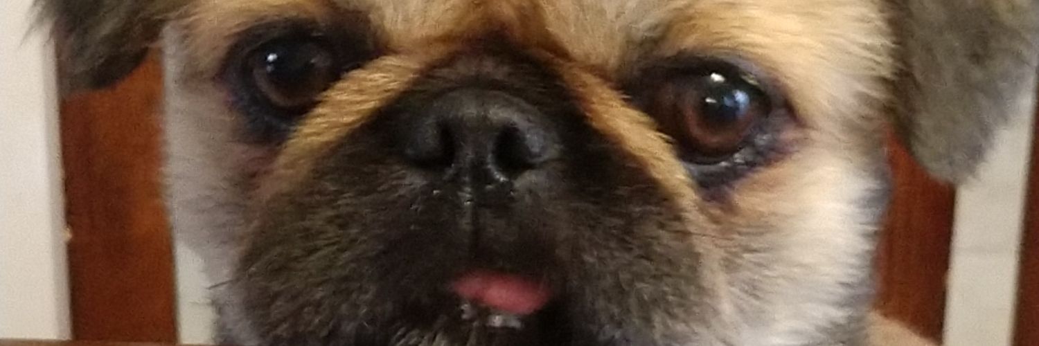 GonzalesGregory's profile banner image