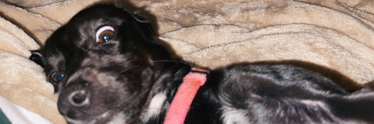 Morgan_Kelly20's profile banner image