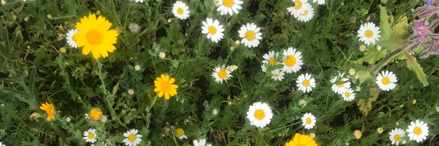 _DaniBruce's profile banner image
