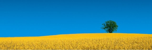 queenofhells's profile banner image