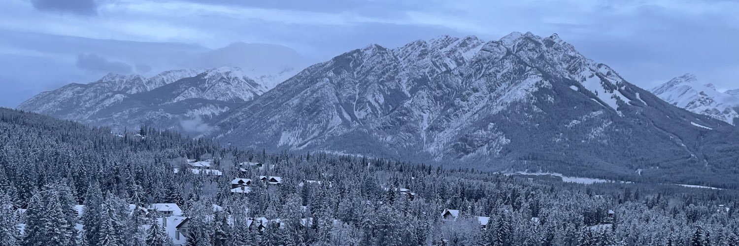 Prashant Bavi banner