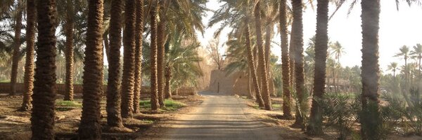 mshalalbuati Profile Banner