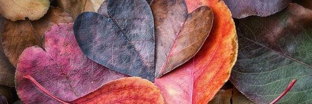 sam_lee_W's profile banner image