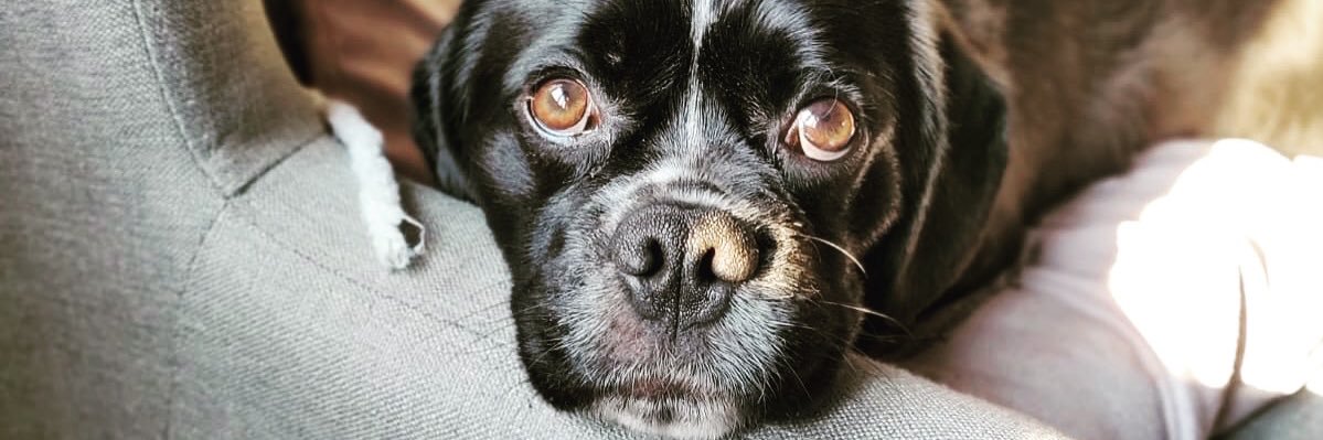 AmandaJane75's profile banner image
