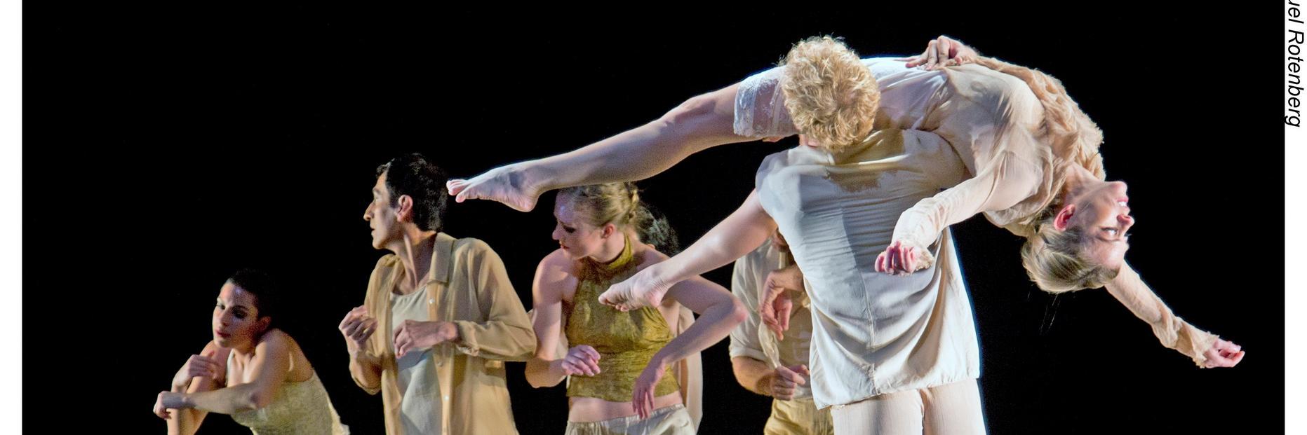 SDDanceTheater's profile banner image