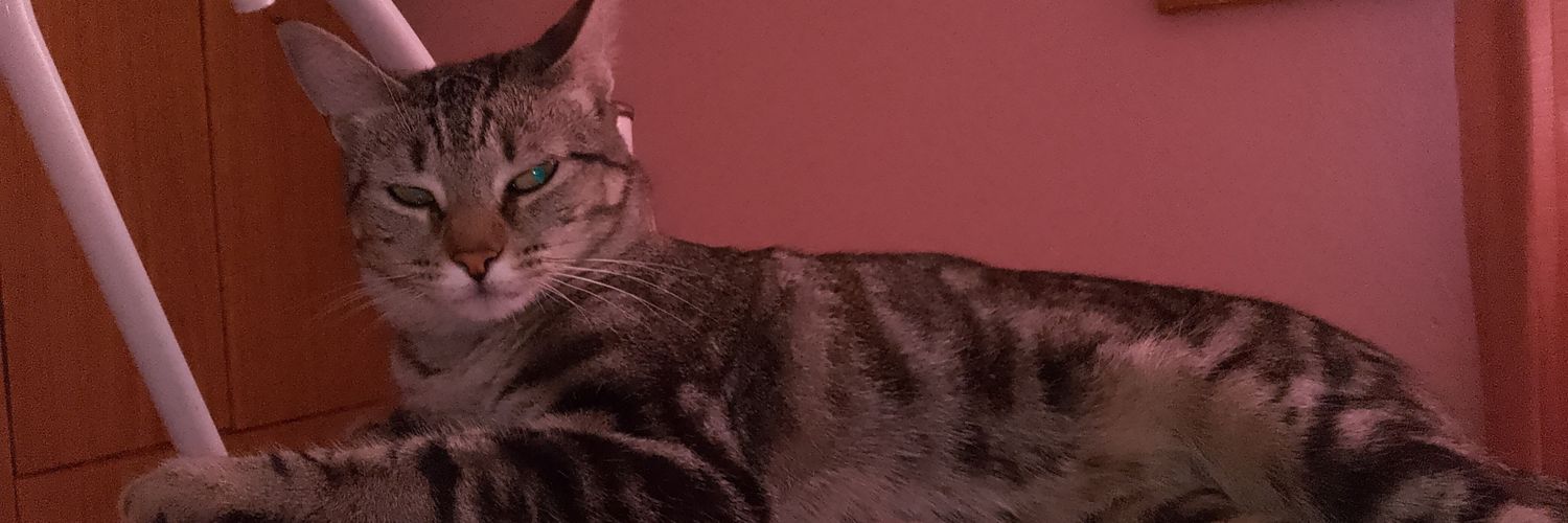 MaleVivas7's profile banner image