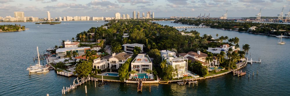 RealtorMina's profile banner image