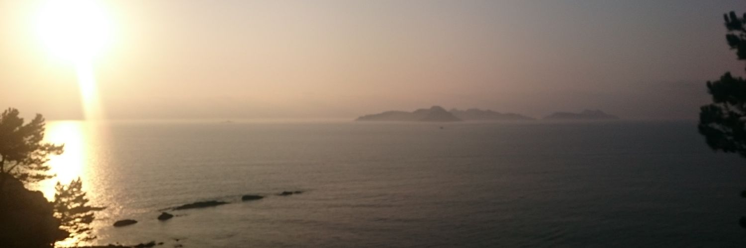 beariveiro's profile banner image