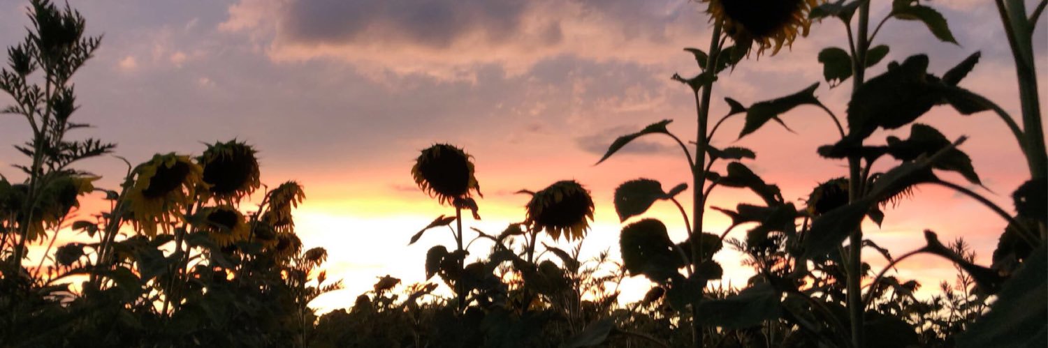 liltrishlet's profile banner image