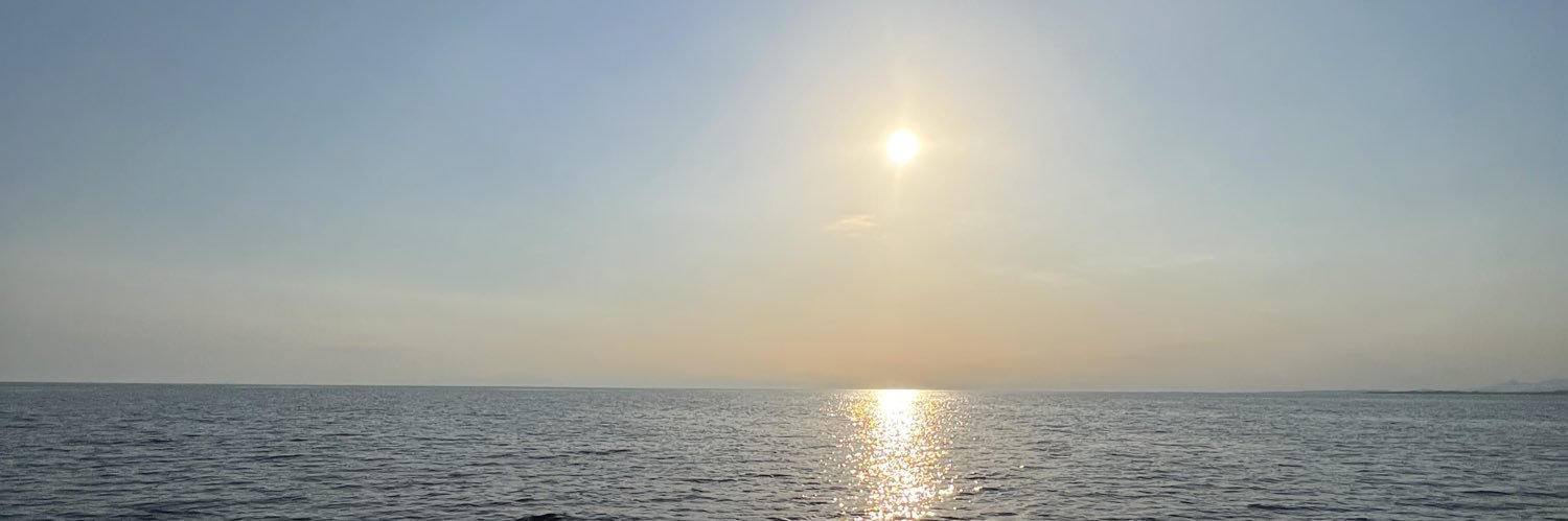 Swasugafree's profile banner image
