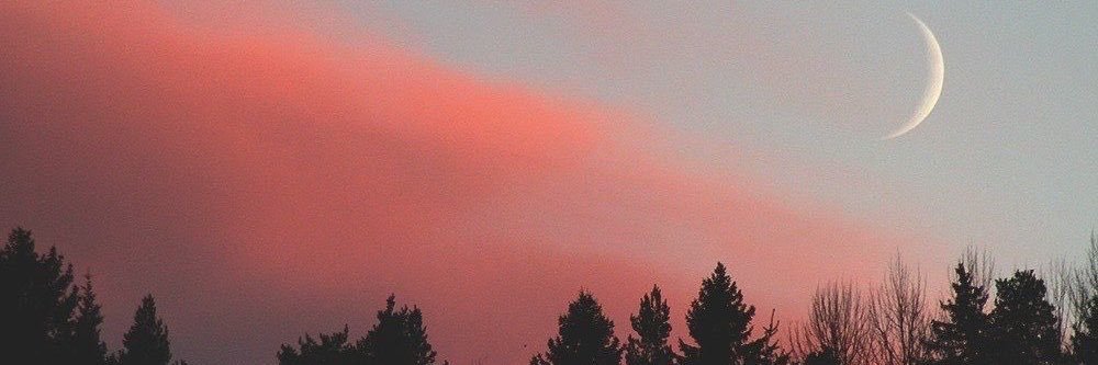 SAB175_'s profile banner image