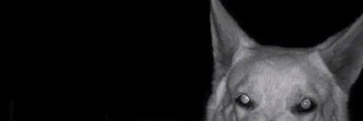 e banner