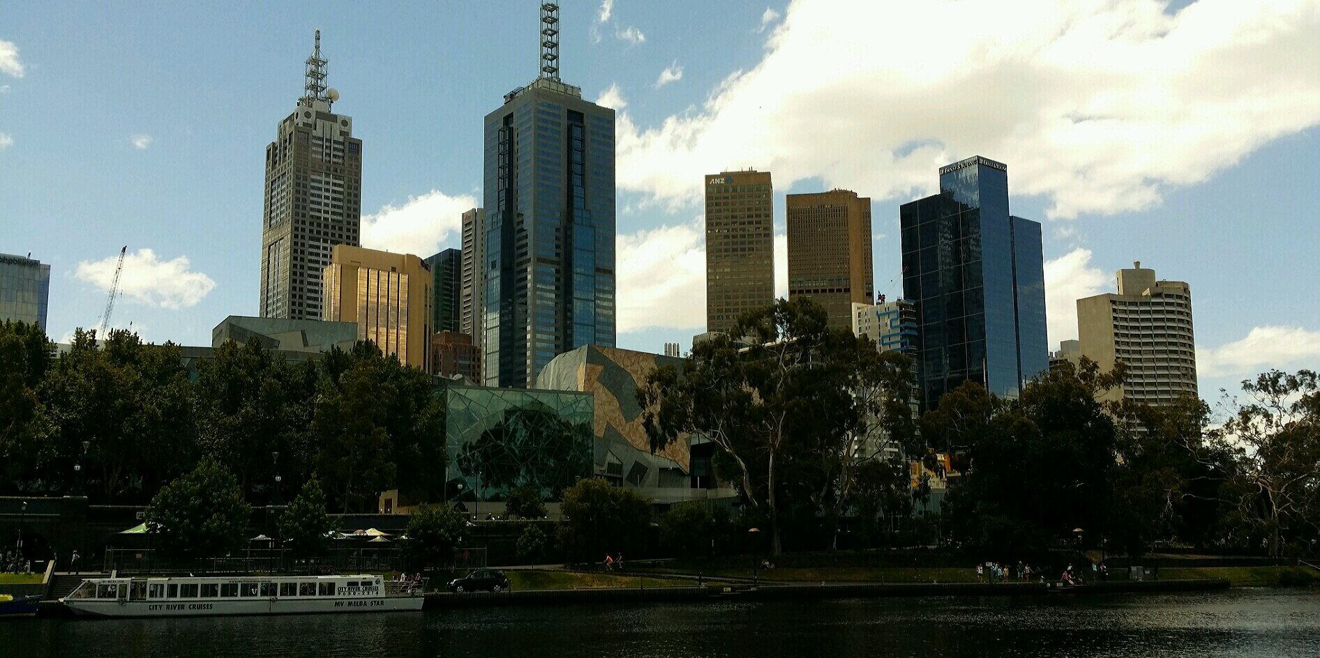 Dr Trash Panda banner