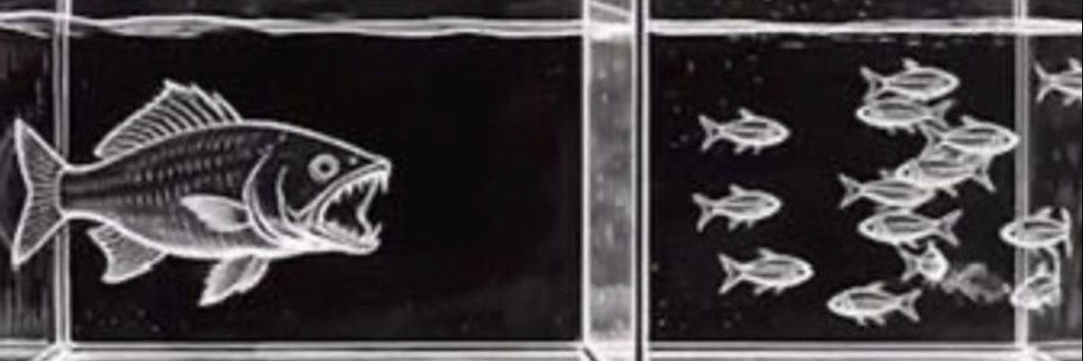 Shootpac 🐟 ( Glass is removed, You can do it) banner