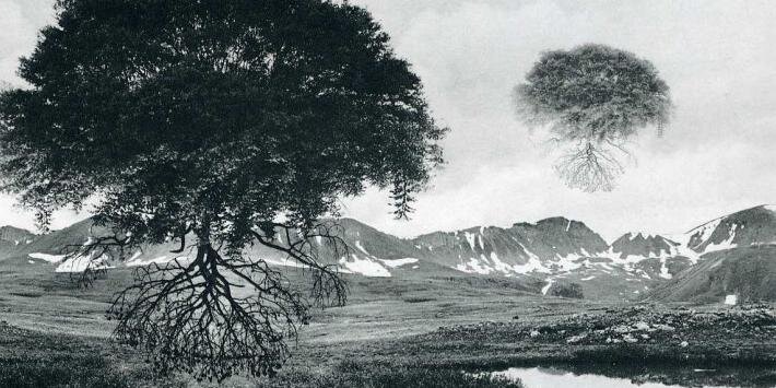 aurelewy's profile banner image