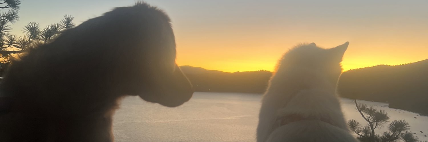 gbsmaxx's profile banner image