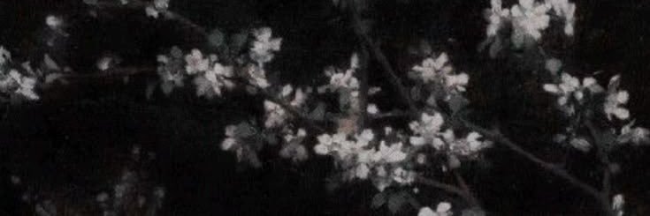 ً️️ banner