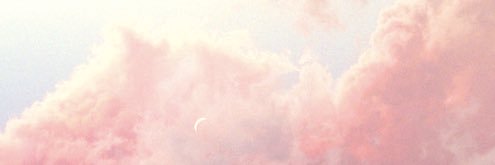 grandedisney's profile banner image