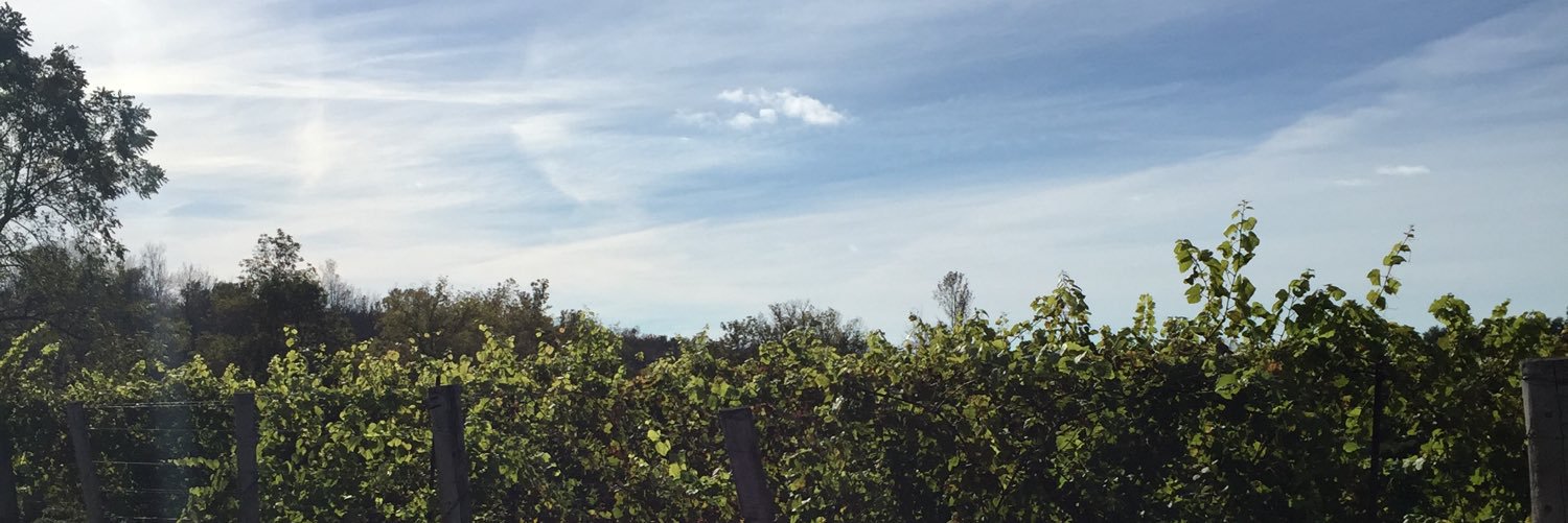 Jess_Knox's profile banner image