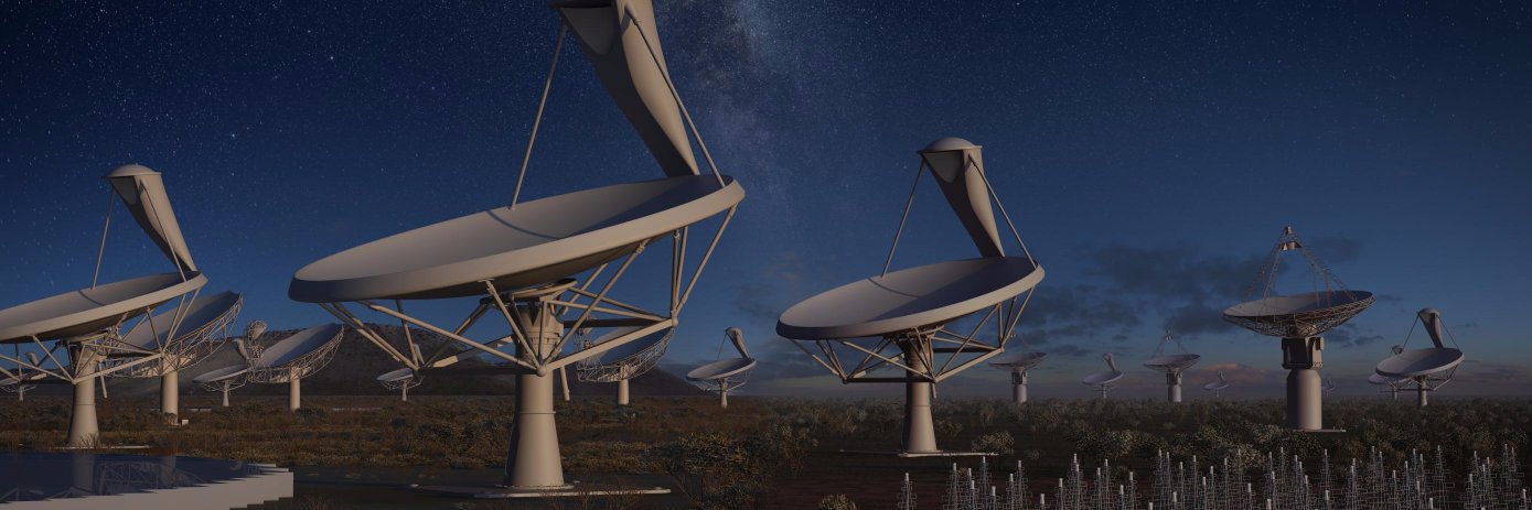 Darragh Ruddy banner