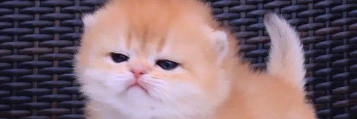 mjustnth's profile banner image