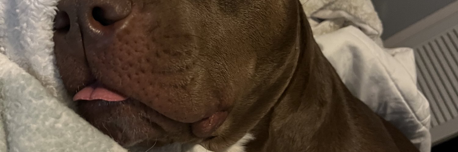 natmireles's profile banner image