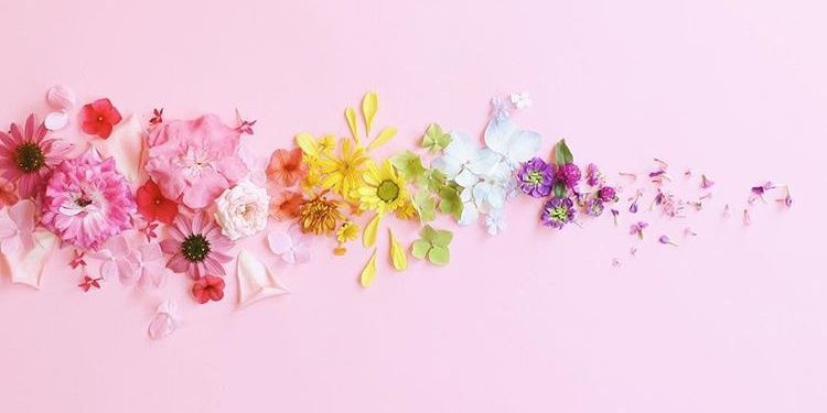 kleistac's profile banner image