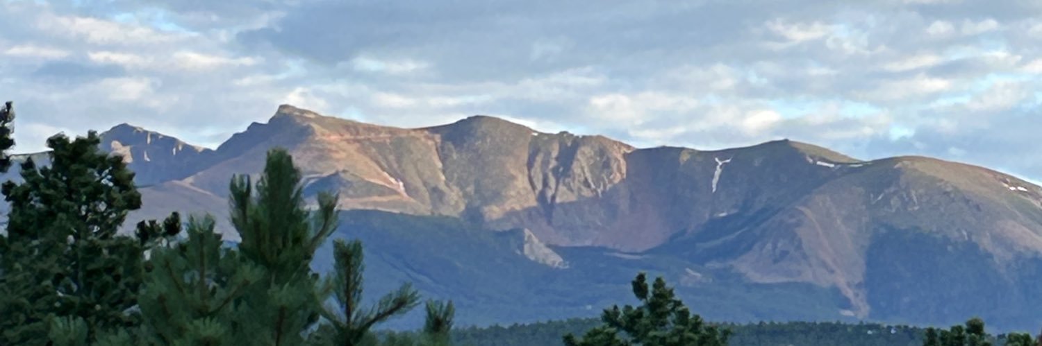 Habs In Blood banner