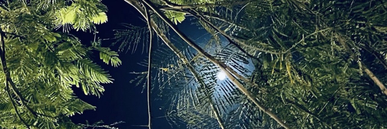 AB_o93's profile banner image