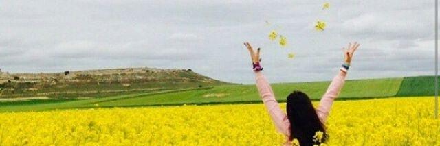 elenabotran's profile banner image