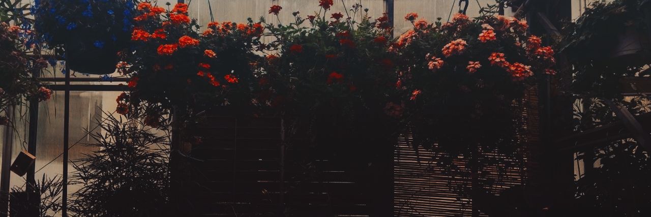 flor_q97's profile banner image