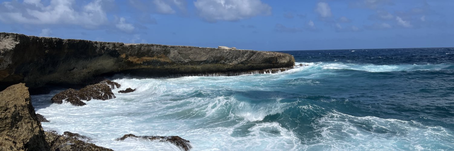 Justin Buzick banner