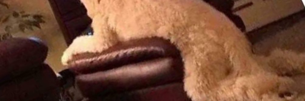 MatthewTurner95's profile banner image