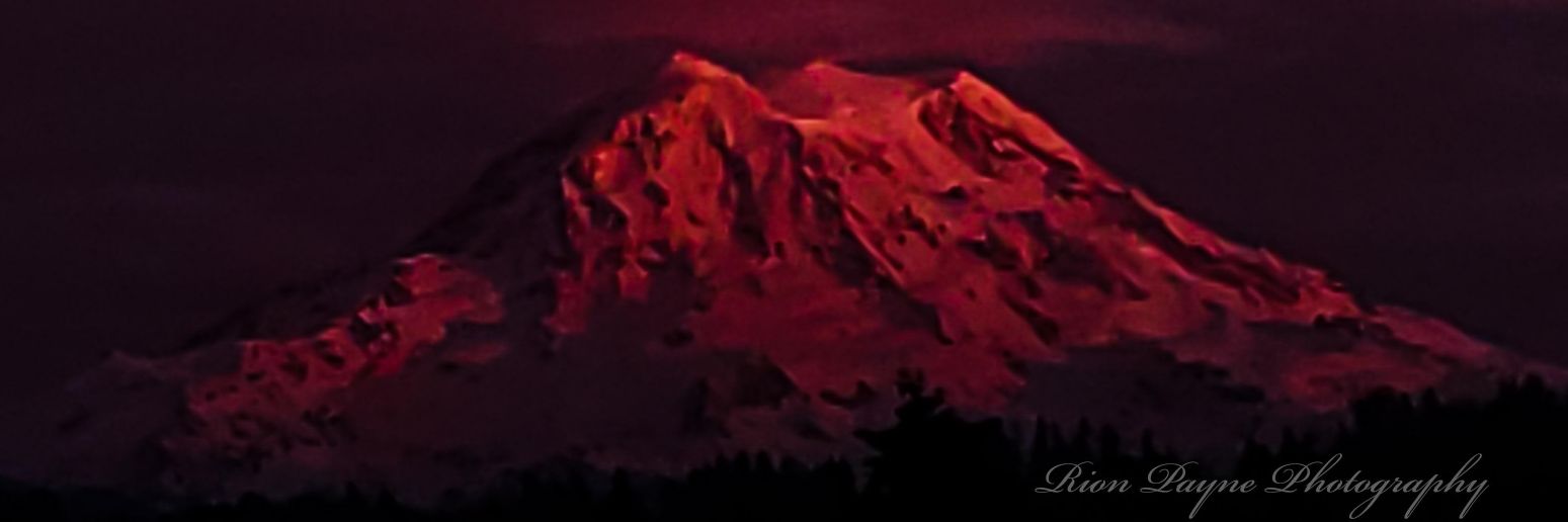 RTPimages's profile banner image