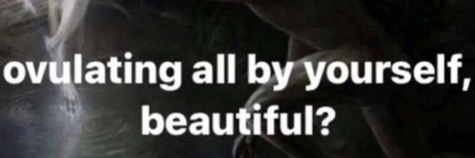 portdazai's profile banner image