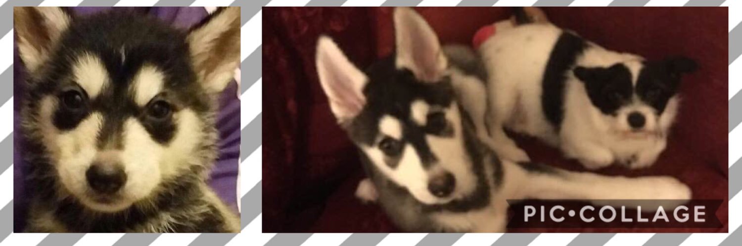 LEZZLES55's profile banner image