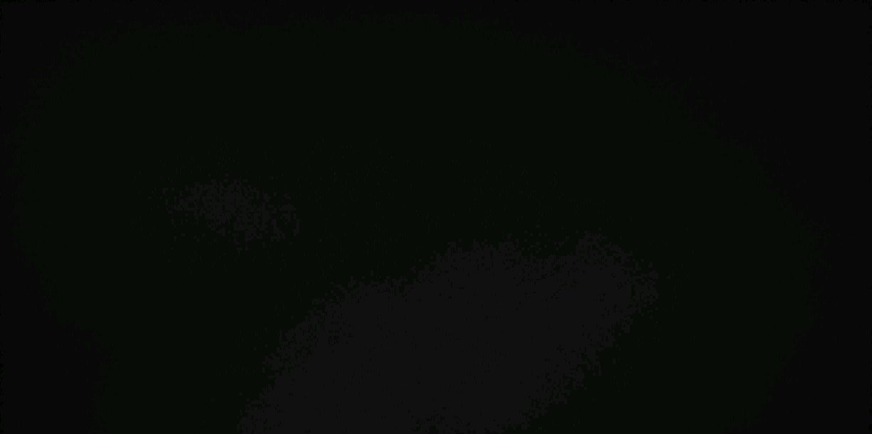 Lulu___T's profile banner image