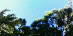 CMelkoob's profile banner image