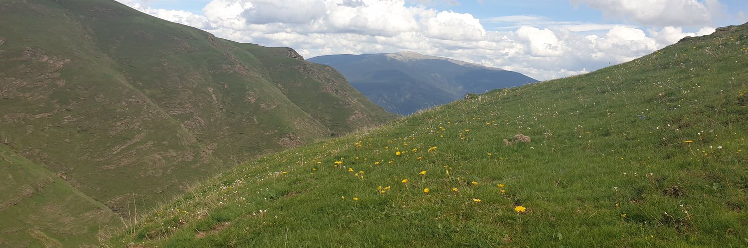 Jaume Aragall 🎗 banner