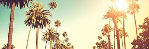LauraRomeraP's profile banner image