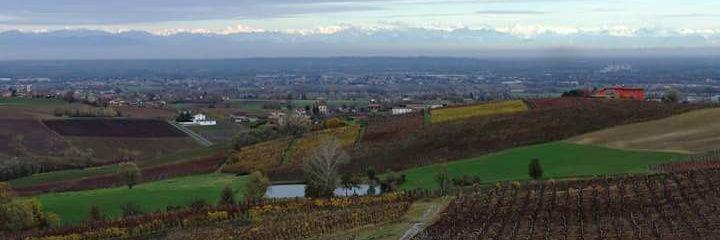 silvia_mandini's profile banner image