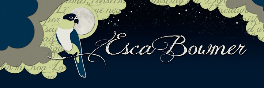EscaBowmer's profile banner image