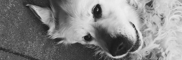 m4deinbed's profile banner image