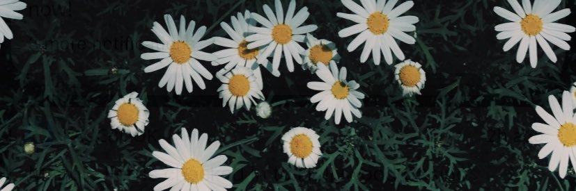 cat_m0m's profile banner image