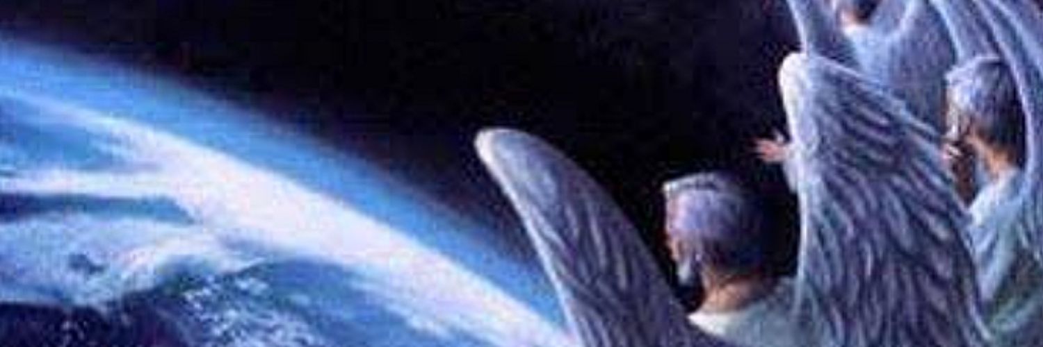 rbcasaroli's profile banner image