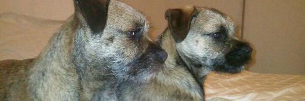 rose_BT_2012 Profile Banner