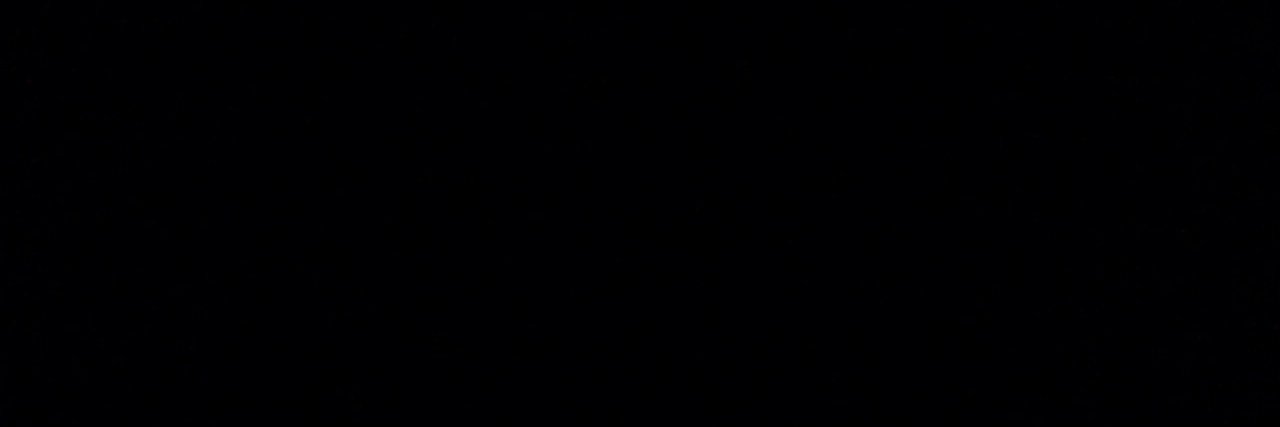 Trooper banner